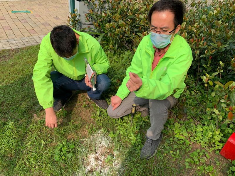 【文明健康 有你有我】红火蚁悄悄出动 市民要注意这些.